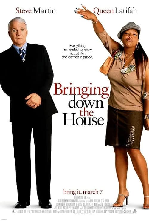Bringing Down the House film posteri
