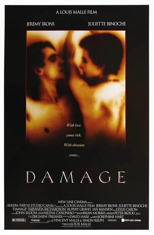 Damage film posteri